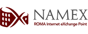 namex-logo-1.png